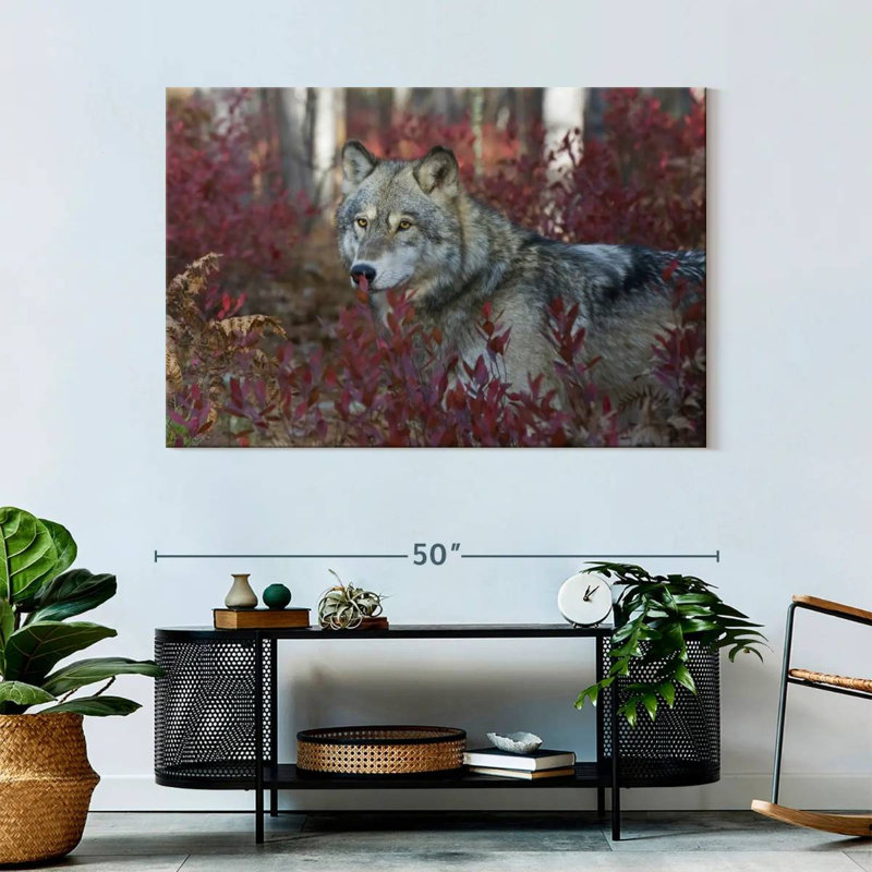 Brampt Gray Timber Wolf, 32" H x 48" W