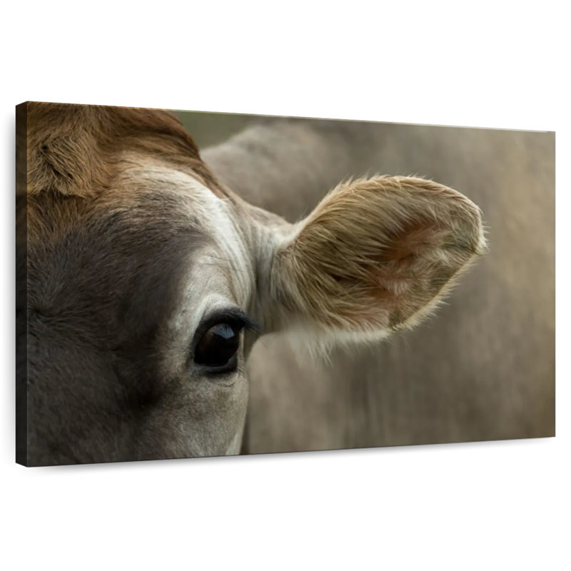 Brampt Eye Of A Cattle, 30'' H x 45'' W