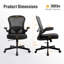 Ergonomic Mesh Office Chair