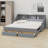Daybed Featuring Storage Bookcases, Two Drawers and Built-in Charging Design-717015478