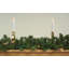 Pre-Lit Canadian Pine Artificial Christmas Garland - Multi Lights-94488168-94488169