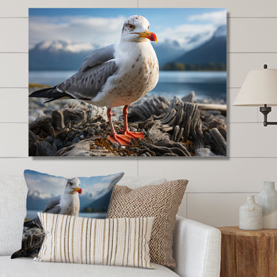 " Seagull Portrait On Rock "