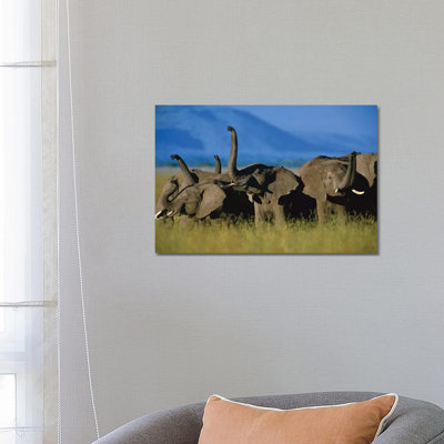 African Elephant Herd Sniffing the Air, Kenya 1 Piece Wrapped Canvas Wall Art