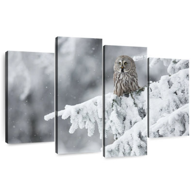Brampt Owl In Snowy Woods