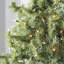 606'' String Lights-31889552