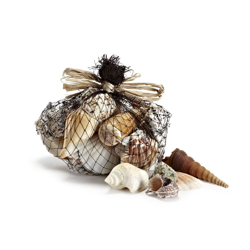 Radersburg Shell Vase Filler Decorative Object