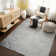 Area Rug
