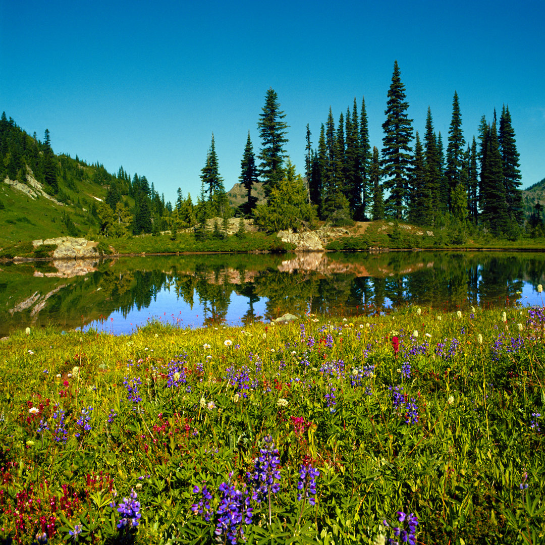 Wildblumen und Alpensee by Lfreytag - Druck