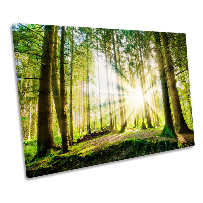 Sunset Green Forest Summer - Wrapped Canvas Print, 61cm H x 91.4cm W x 4cm D