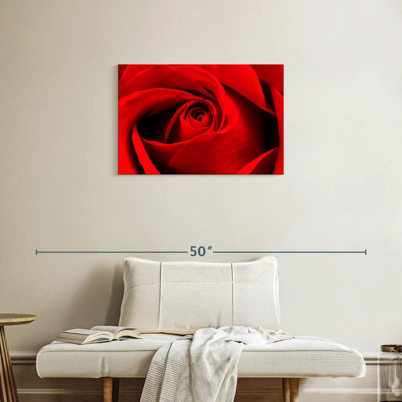 Harnek, gros plan d'une rose rouge, H 20 po x l 30 po