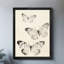 Art mural papillon noir, aquarelle encadrée de style rétro-667834010