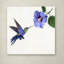 «Humming Bird» par Armand, reproduction sur toile-21649943