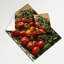 Tapisserie murale légumes et tomates Beefsteak-133639449