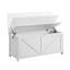 Coffre de rangement, banc de rangement, organisateur de boîte à jouets rétro