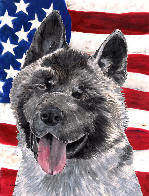 2 côtés en polyester de 2 côtés american drapeau de jardin, Akita gris