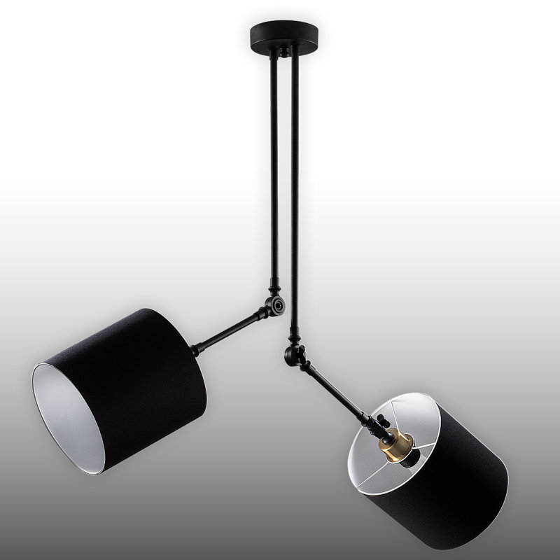 Lustre 2 lumières à tête réglable
