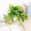 2Pack de plantes avec pot pour la décoration d'intérieur