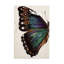 Art mural sur toile Rosalind Wheeler Melissa Wang-714889799