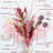 17'' Pampas Grass Plant