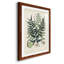 Collectionner Ferns VII Premium encadré mat - prêt à être accroché-1331941643-1331941640