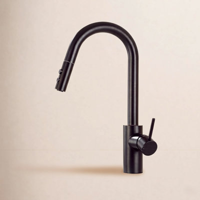 Pull-Down Kitchen Faucet with Accessories