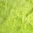 Plush Bright Lime Area Rug-24774969