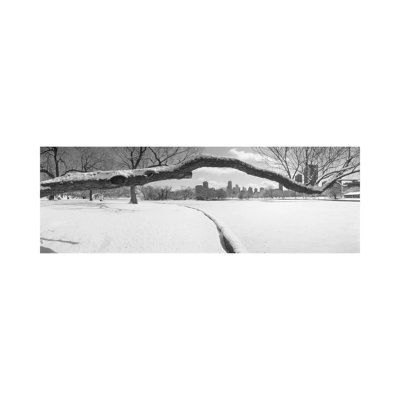 Bare Trees In A Park, Lincoln Park, Chicago, Illinois, USA - Wrapped Canvas Panoramic Print