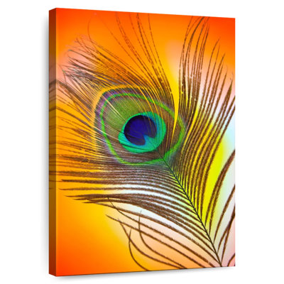 Plume de paon Kerner Glamour