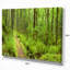 «Lush Forest Path Columbia River», reproduction de photo sur toile tendue-18273298-33308370