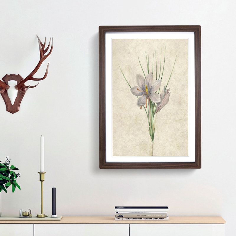 Autumn Crocus Flowers by Pierre-Joseph Redoute - Single Picture Frame Painting, Walnut Framed, 63cm H x 45cm W x 2cm D