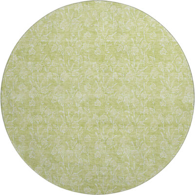 Premium Machine Washable Prisco Aloe Rug