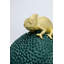 Deco Box Chameleon 34