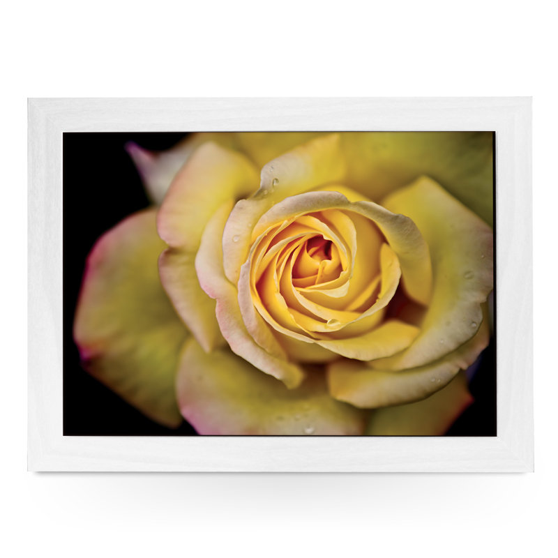Cachet Tray, White
