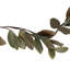 Magnolia Garland