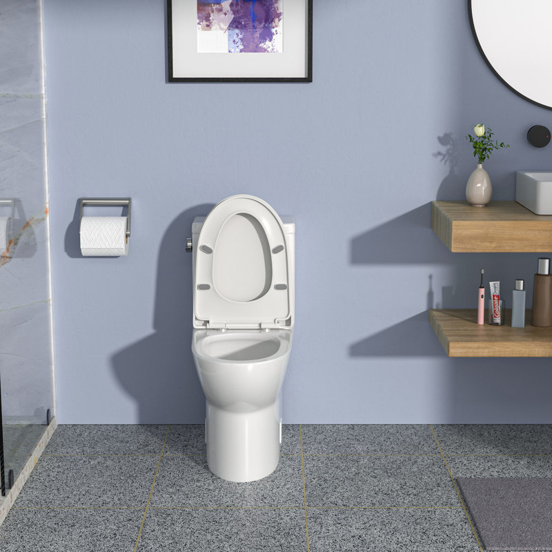 Toilette une pièce Rainlex RX-T23W
