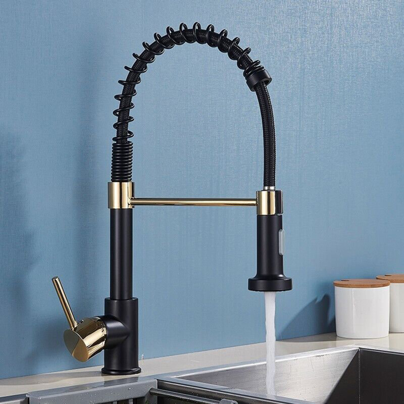 Belfry Kitchen Hockensmith Pull Out Kitchen Faucet