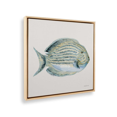 Striped Sea Wanderer On Canvas