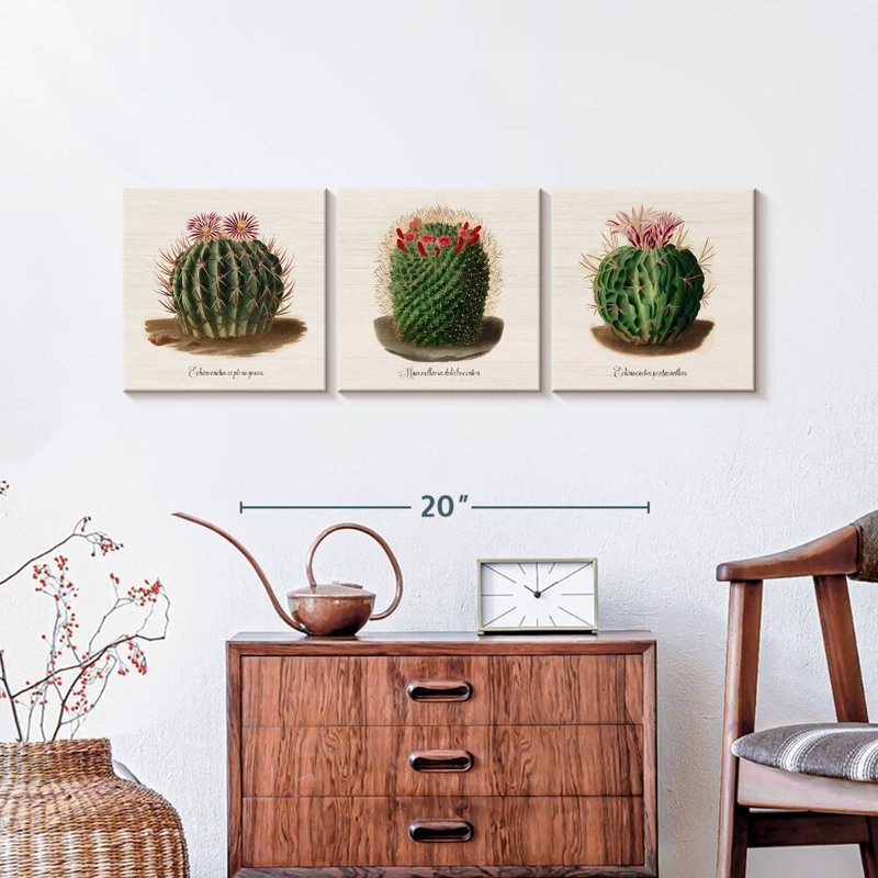 Iconographie descriptive des cactus, H 10 po x l 32 po