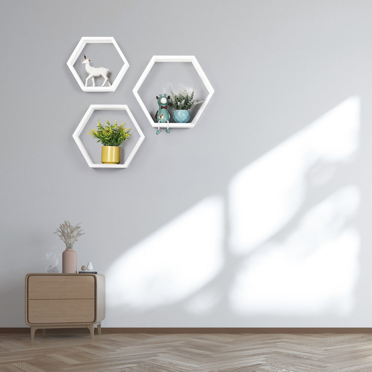 https://assets.wfcdn.com/im/09829957/resize-h755-w755%5Ecompr-r85/1955/195515592/Jhosep+3+Piece+Hexagon+Floating+Shelf.jpg