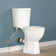 19" Tall Rear Outlet Toilet With Powerful Dual Flush, Two-piece Rear Discharge Toilet With Extension Pipe