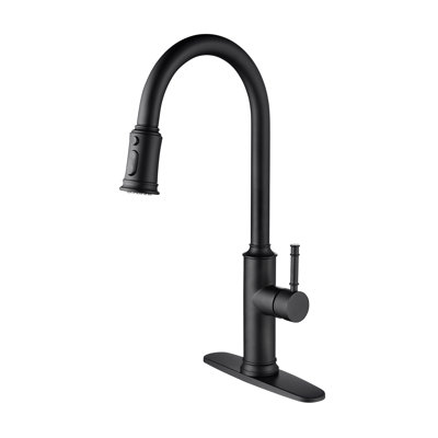Interbath Pull Down Kitchen Faucet