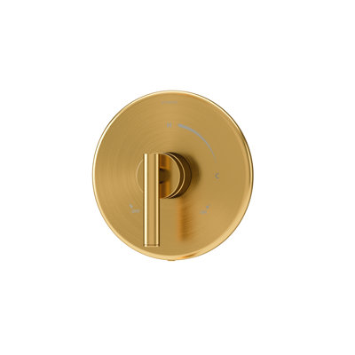 Dia Single Handle Shower Valve Trim