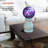 Eliezer Polyresin None Pedestal