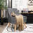 Jomira Velvet Side Chair-415656527
