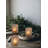 3.5'' H Glass Tabletop Tealight Holder