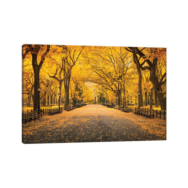 Central Park In Autumn by Jan Becke - Print on Canvas, 45.72cm H x 66.04cm W x 3.81cm D, Wrapped Canvas