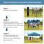 Brunston 3 x 3m Metal Party Tent-264274218