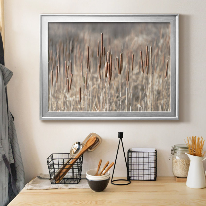 Summer Tails - Photographie avec cadre photo, Silver Framed Canvas, H 18,5 po x l 24,5 po x P 1,5 po