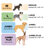 Orthopedic Polyester Pet Bed-1815721493-1815721494