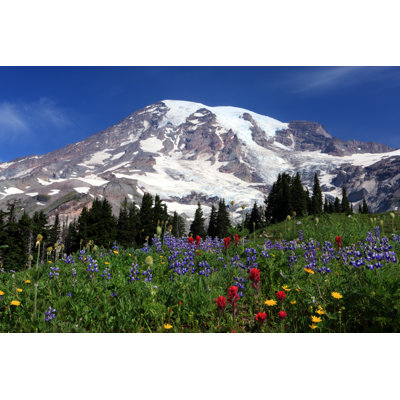 Mont Rainier par Jeremy Edwards